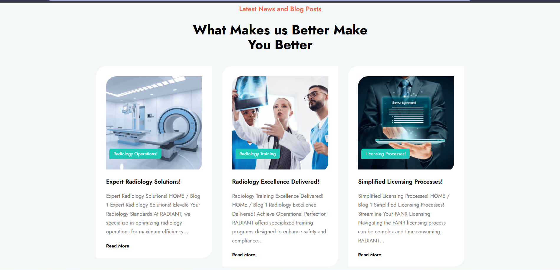 Radient Infotech screenshot 2